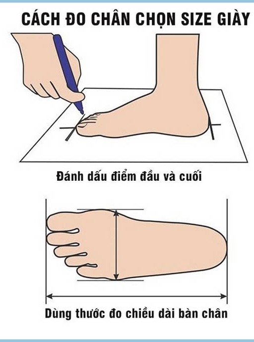 vì sao tím móng chân