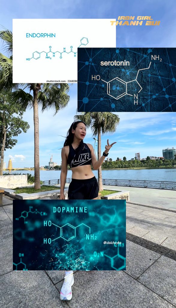 Các loại hoocmon khi tập thể dục