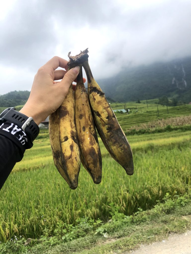 Thực phẩm tốt cho người chạy bộ Thực phẩm tốt cho người chạy bộ